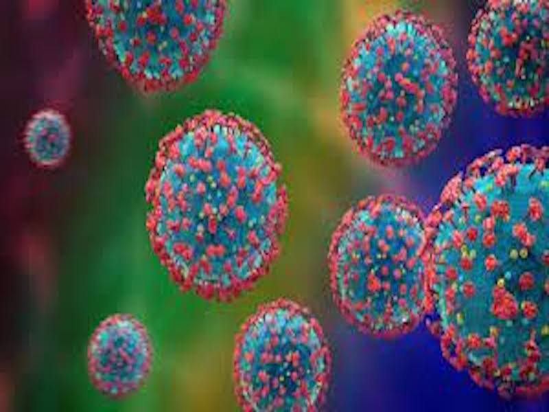 Nueva variante de Coronavirus PAUSA.MX