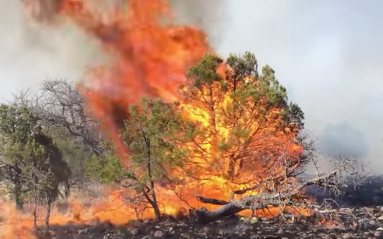 Situación de incendios forestales en Chihuahua