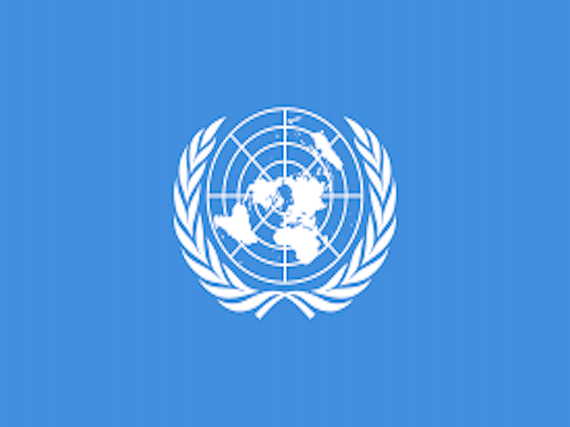 Rusia queda fuera de la ONU PAUSA.MX