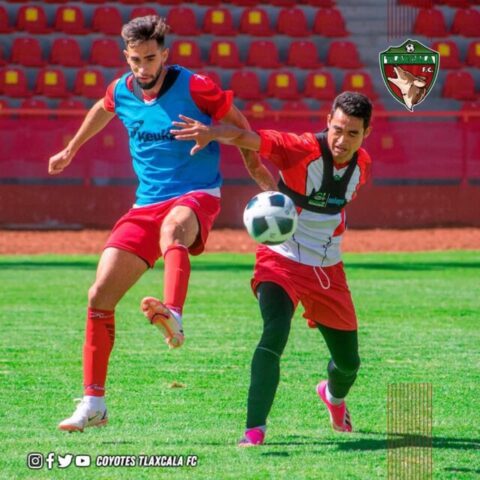 a01e20e2-d1fe-4531-a63a-cd545437640a