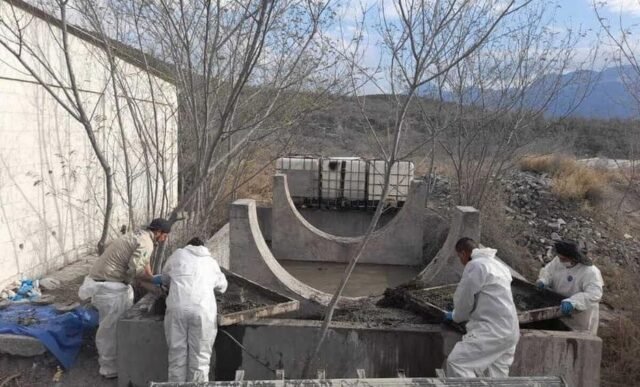 buscan mujeres perdidas pausa.mx