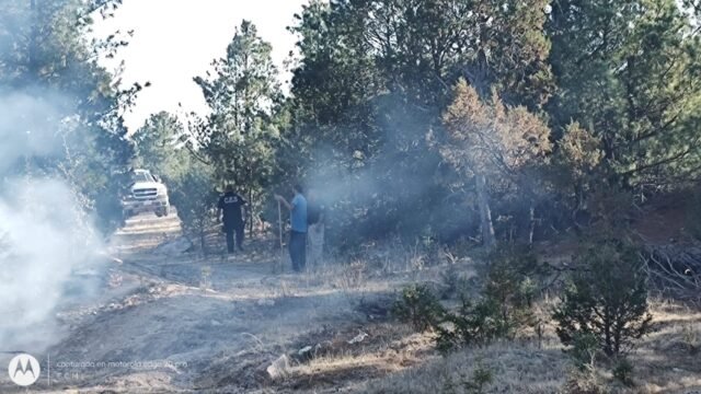 WhatsApp Image 2022-05-09 at 12.39.35 PM