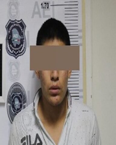 17e5f01a-50f4-47c7-bc4a-45e998d51d5e PAUSA.MX