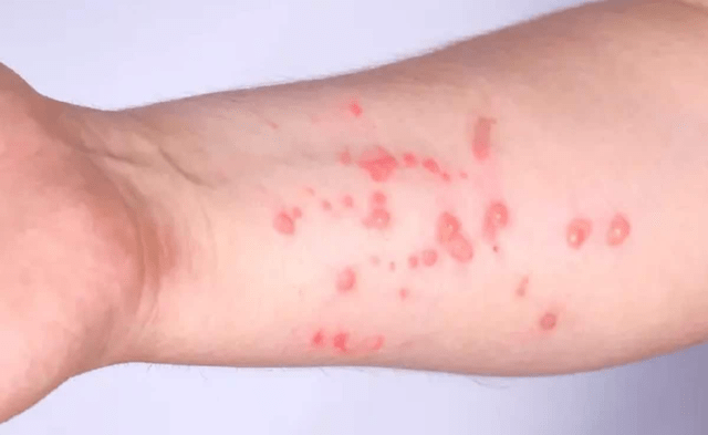 39328DD7-D098-45A0-87CA-D9B15C5D5BE4