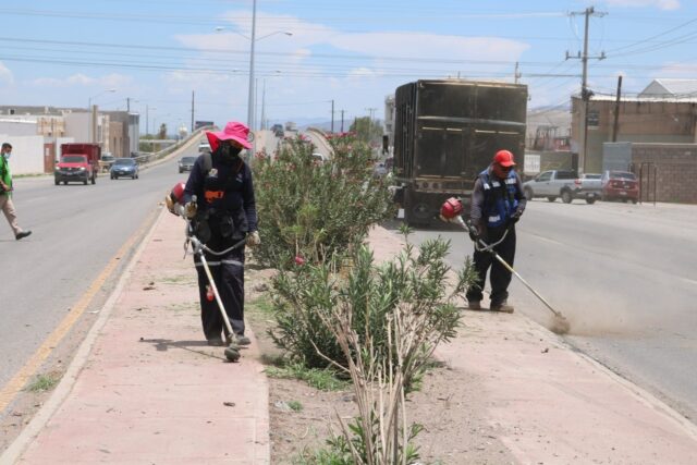 WhatsApp Image 2022-07-05 at 10.35.18 AM