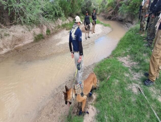 f2f81e36-5372-4922-8cf5-7cdc6195d925 PAUSA.MX