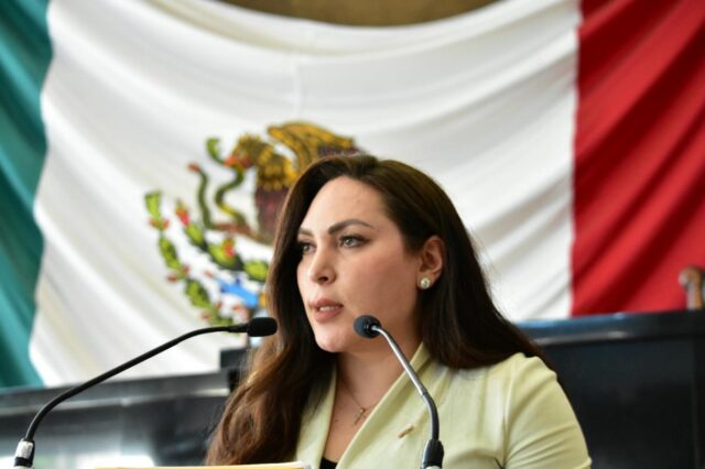 Georgina Zapata, quien forma parte de la Sexagésima Séptima Legislatura, ha presentado una reforma a la Ley de Vialidad y Tránsito del Estado. Esta reforma busca modificar el artículo 15, fracción IX, para establecer que los agentes de vialidad deben utilizar cámaras fijas en sus vehículos
