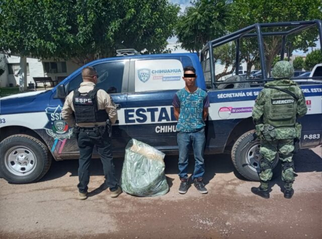 Pausa.mx SSPE, Detenido