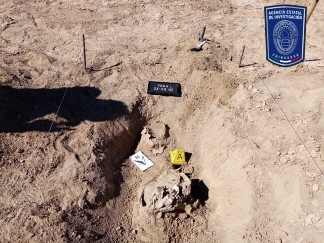 WhatsApp Image 2022-08-03 at 5.54.33 PM