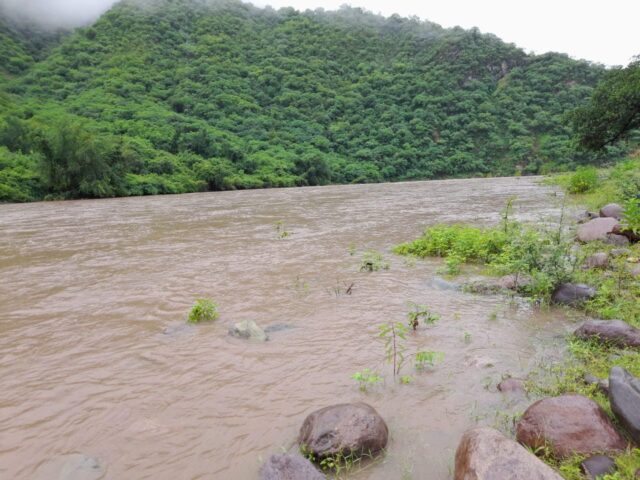 dfd09c4c-eadb-48f4-9d42-536c215a050b