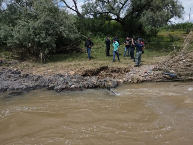 WhatsApp Image 2022-09-09 at 4.58.46 PM