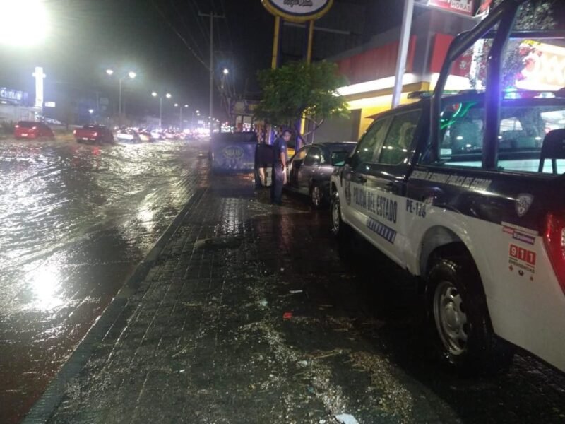 51e2827d-ac0e-4733-b9c6-a35f47f0ef13