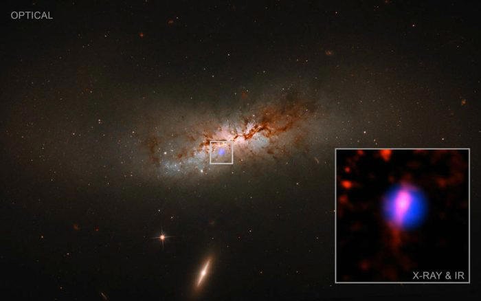 Pausa.mx Ajugero Negro