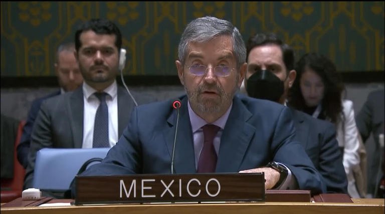 Pausa.mx México, Consejo de Seguridad, ONU