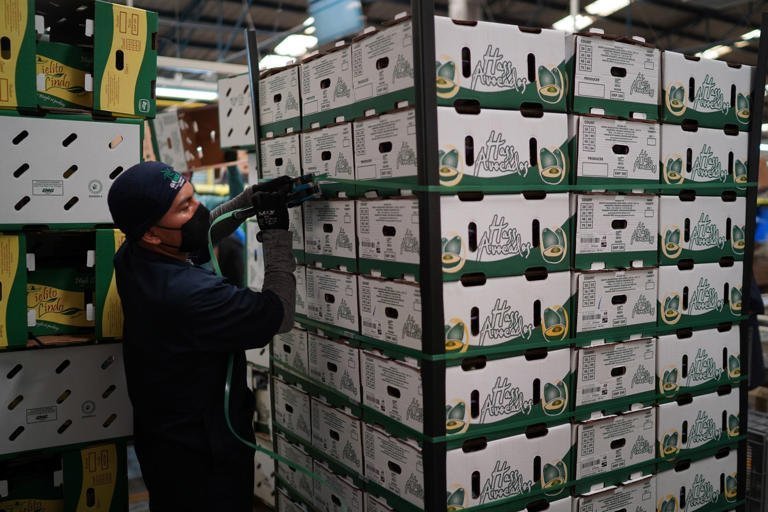 Pausa.mx México, Primer Sociao Comercial de EU