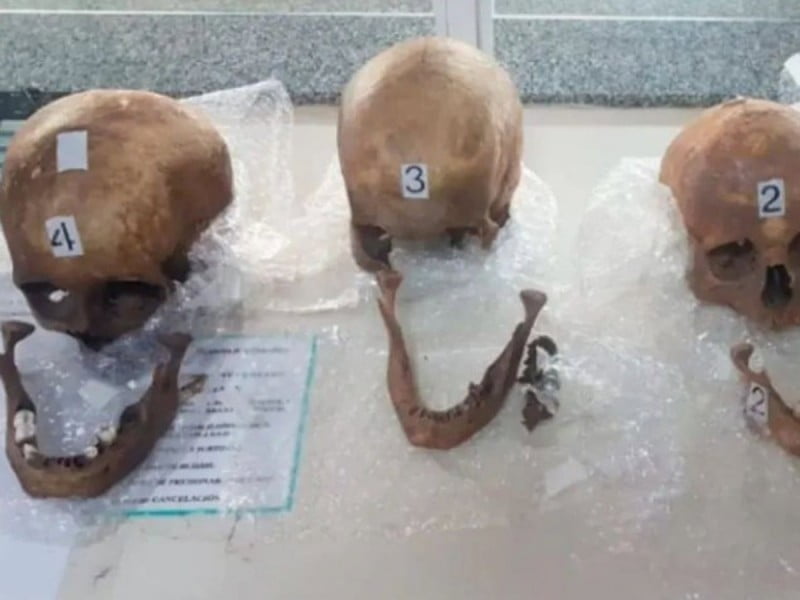 Pausa.mx Traficante de Resteos Humanos, Argentina