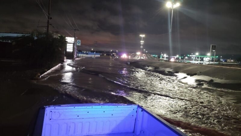 WhatsApp Image 2022-10-05 at 13.43.31