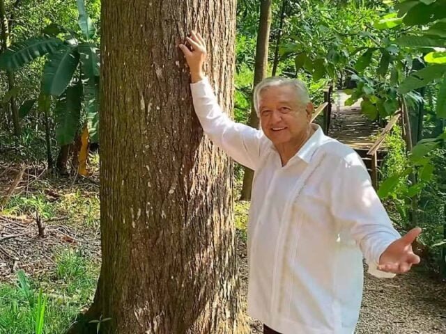 Pausa.mx AMLO, Cumpleaños amlo