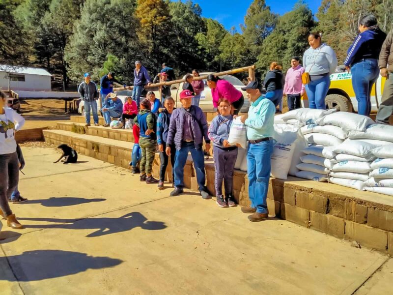 Noticias Chihuahua Pausa.MX Reciben apoyos alimentarios 180 familias de pueblos originarios en el municipio de Madera