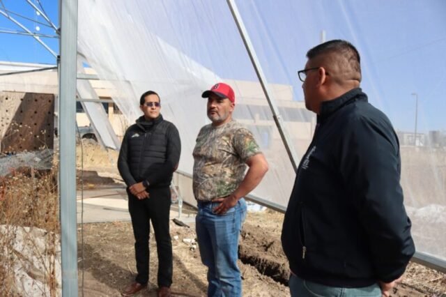 Rehabilita UT de la Babícora invernadero de la carrera de Agricultura Sustentable y Protegida