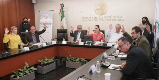 senadora Mónica Fernández Balboa