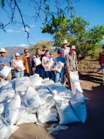 WhatsApp Image 2022-12-05 at 9.24.50 AM