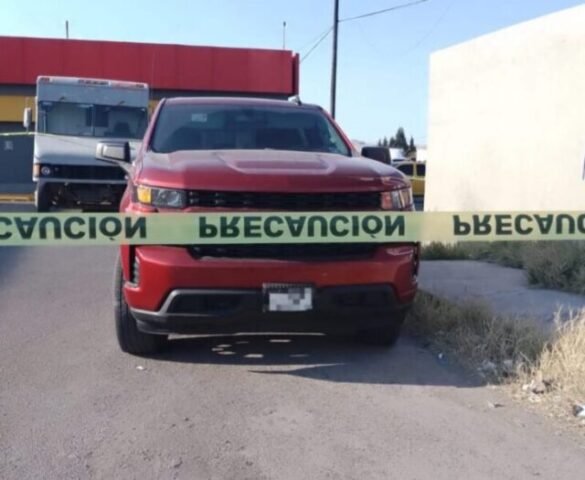 WhatsApp Image 2022-12-15 at 9.26.03 AM