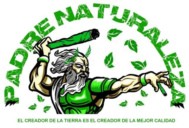 Noticias Chihuahua PAUSA.MX Desarticula FGE venta de drogas por redes sociales dirigida por “Padre Naturaleza”