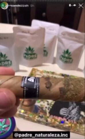 Noticias Chihuahua PAUSA.MX Desarticula FGE venta de drogas por redes sociales dirigida por “Padre Naturaleza”