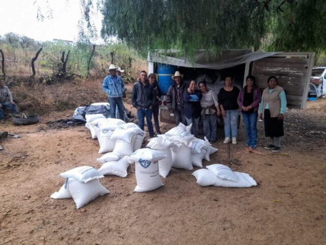 WhatsApp Image 2022-12-26 at 10.01.48 AM