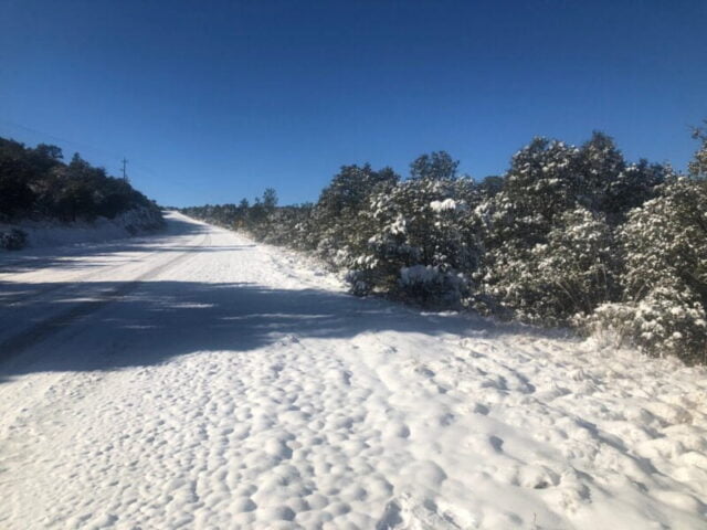 WhatsApp Image 2023-01-25 at 9.52.39 AM (1)