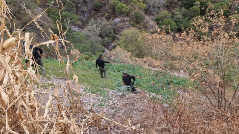 Noticias Chihuahua PAUSA.MX Mantiene SSPE operativos en la sierra de Chihuahua para localización de “El Chueco”