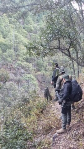 Noticias Chihuahua PAUSA.MX Mantiene SSPE operativos en la sierra de Chihuahua para localización de “El Chueco”