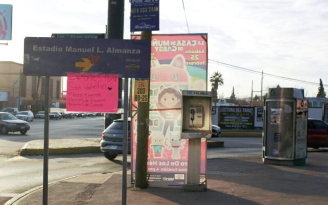 WhatsApp Image 2023-02-21 at 9.46.25 AM