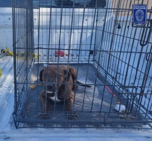 WhatsApp Image 2023-03-10 at 1.11.09 PM (1)