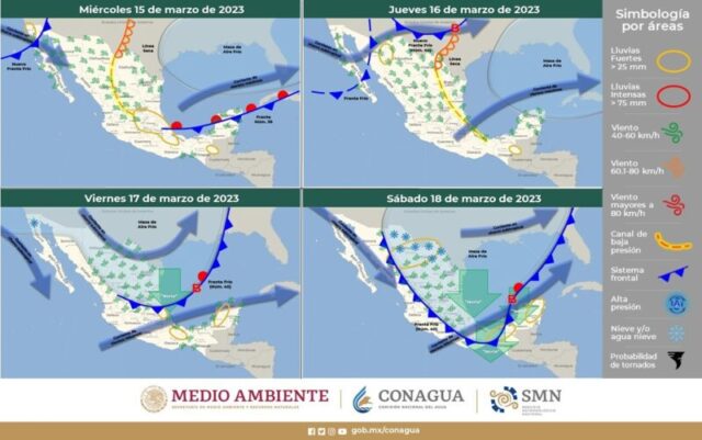 WhatsApp Image 2023-03-15 at 8.54.49 AM