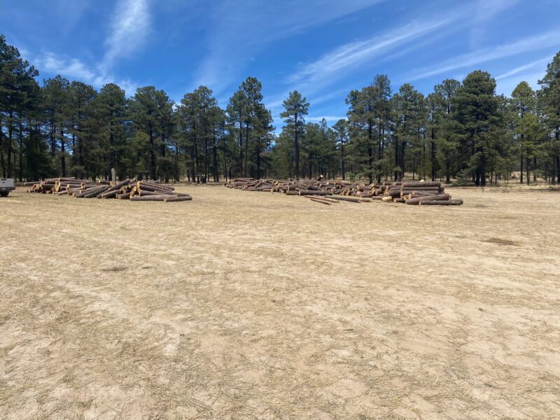 Noticias Chihuahua Pausa.MX Aseguran en miles de trozos de madera en rollo y tractocamiones en Guachochi