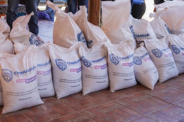 Noticias Chihuahua PAUSA.MX Reciben 500 familias apoyo alimentario en el municipio de Morelos