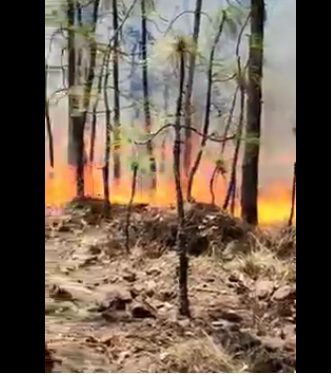 Noticias Chihuahua PAUSA.MX Sin ayuda de Protección Civil y CONAFOR; habitantes de Largo Maderal enfrentan incendios forestales y solicitan deseperadamente socorro