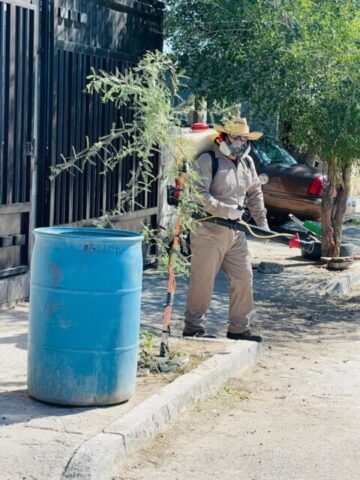 WhatsApp Image 2023-06-09 at 1.25.09 PM