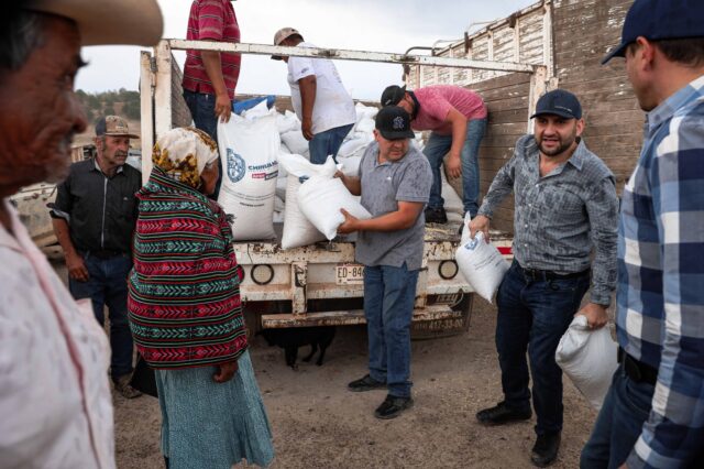 Noticias Chihuahua PAUSA.MX Fortalece Estado con apoyos alimentarios a 350 familias rarámuri en Balleza