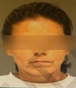 Noticias Chihuahua PAUSA.MX Vinculan a proceso a tres imputados por violencia familiar