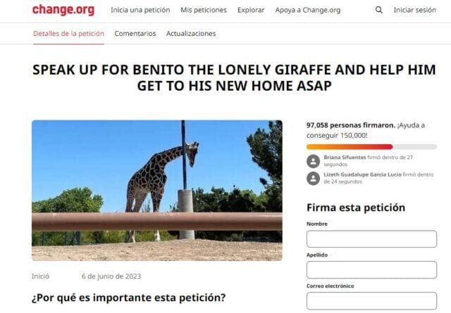 jirafa benito ciudad juarez pausa mx