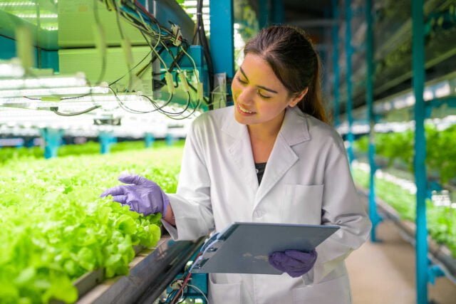Eres un apasionado del campo, estudia Ingeniero Empresarial Agropecuario