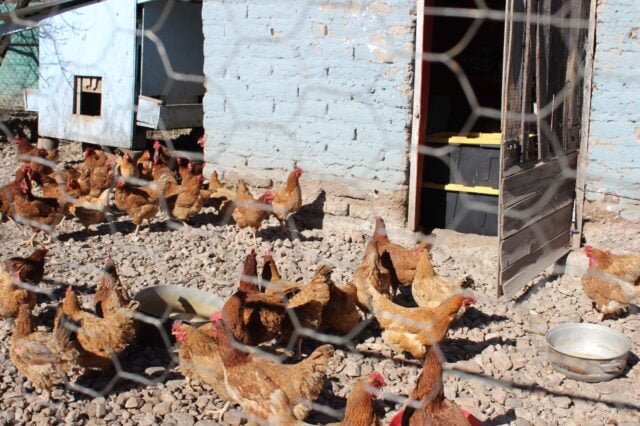 WhatsApp Image 2023-08-10 at 1.29.09 PM (1)