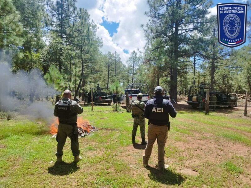 WhatsApp Image 2023-08-25 at 3.31.25 PM