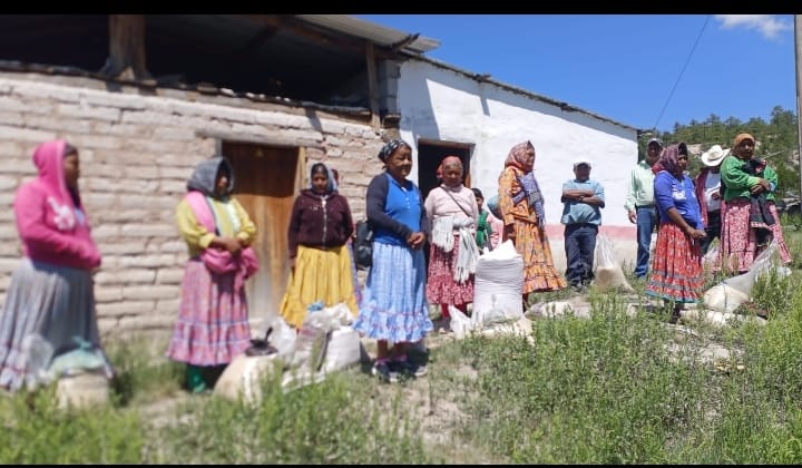 Noticias Chihuahua PAUSA.MX Entrega Estado apoyos alimenticios a 240 familias de pueblos originarios en Bocoyna