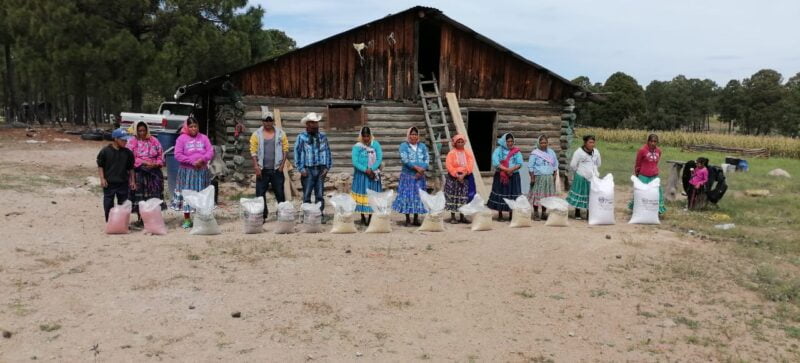 Noticias Chihuahua PAUSA.MX Entrega Estado apoyos alimenticios a 240 familias de pueblos originarios en Bocoyna