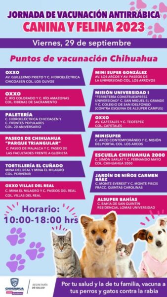 Noticias Chihuahua PAUSA.MX Invita Secretaría de Salud a proteger a las mascotas con la vacuna antirrábica