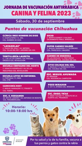 Noticias Chihuahua PAUSA.MX Invita Secretaría de Salud a proteger a las mascotas con la vacuna antirrábica